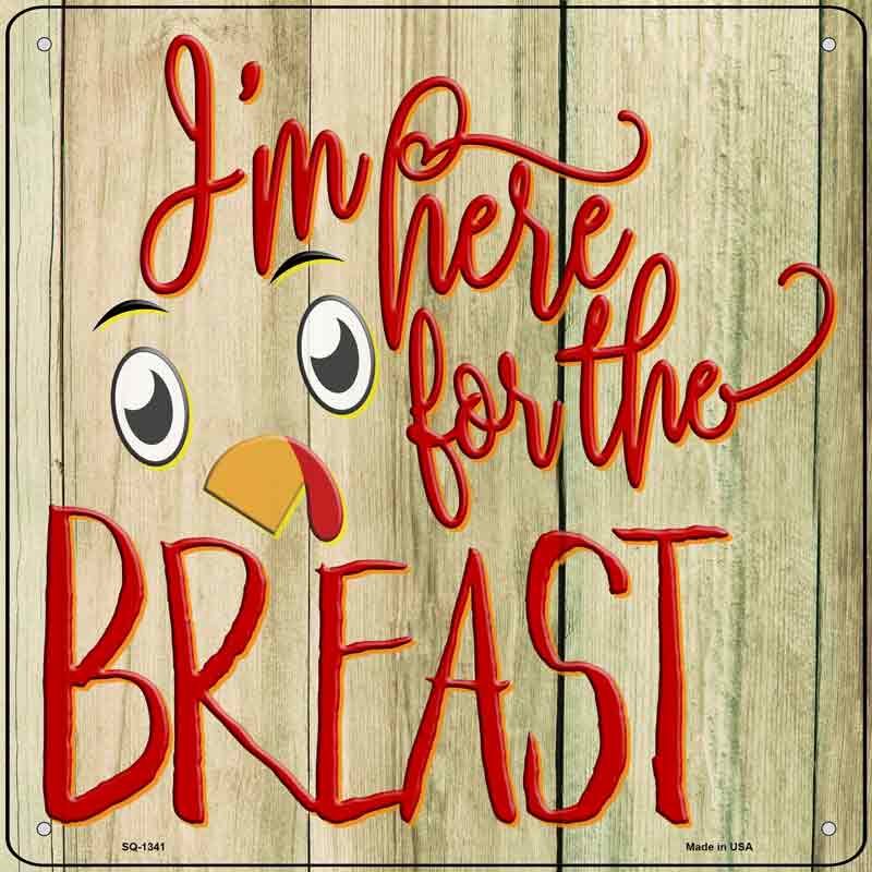 Im Here for the Breast Wholesale Novelty Metal Square Sign