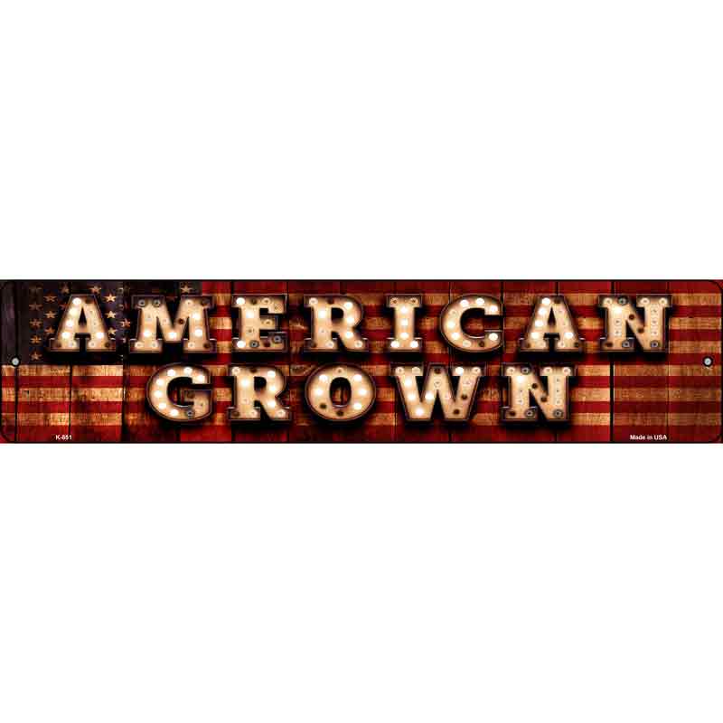 American Grown Bulb Lettering American FLAG Wholesale Small Street Sign