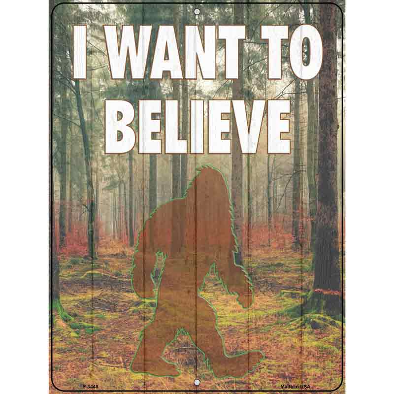 I Want to Believe Wholesale Novelty Metal Parking SIGN