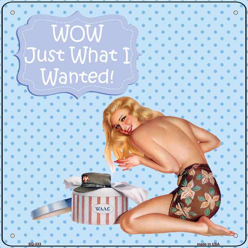 Just What I Wanted Wholesale Novelty Metal Square SIGN
