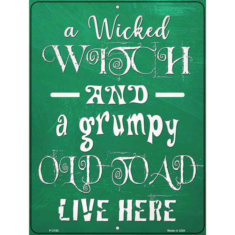 Wicked Witch and Grumpy Toad Wholesale Novelty Metal Parking Sign