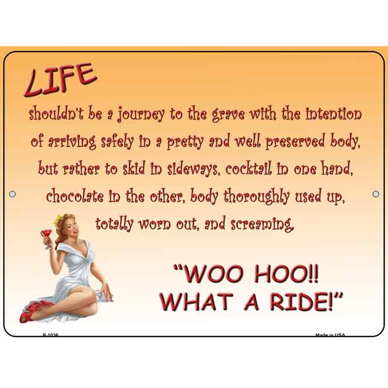 Life What A Ride Wholesale Metal Novelty Parking SIGN